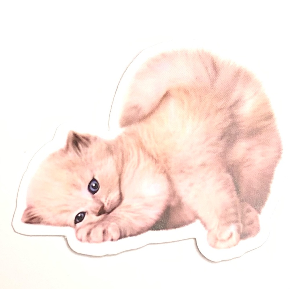 Kitten Vinyl Sticker